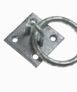 Ring on Plate Galvanised 50mm (1)
