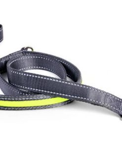 Bright & Safe LED Dog Lead