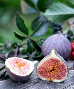 Wild Fig & Cassis Fragrance