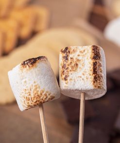 Toasted Marshmallow Fragrance