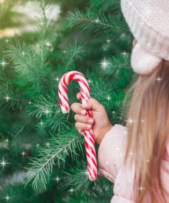 Shimmering Spruce & Peppermint Fragrance