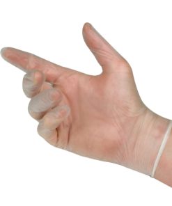 Vinyl Gloves (100)